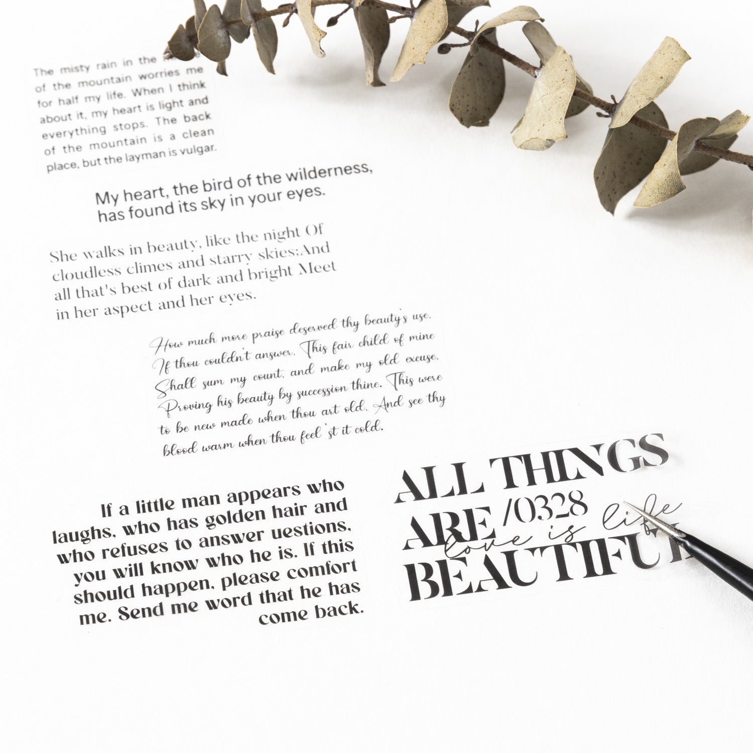 1 Roll Quote Words Cit-cut PET Stickers Tape LMLX