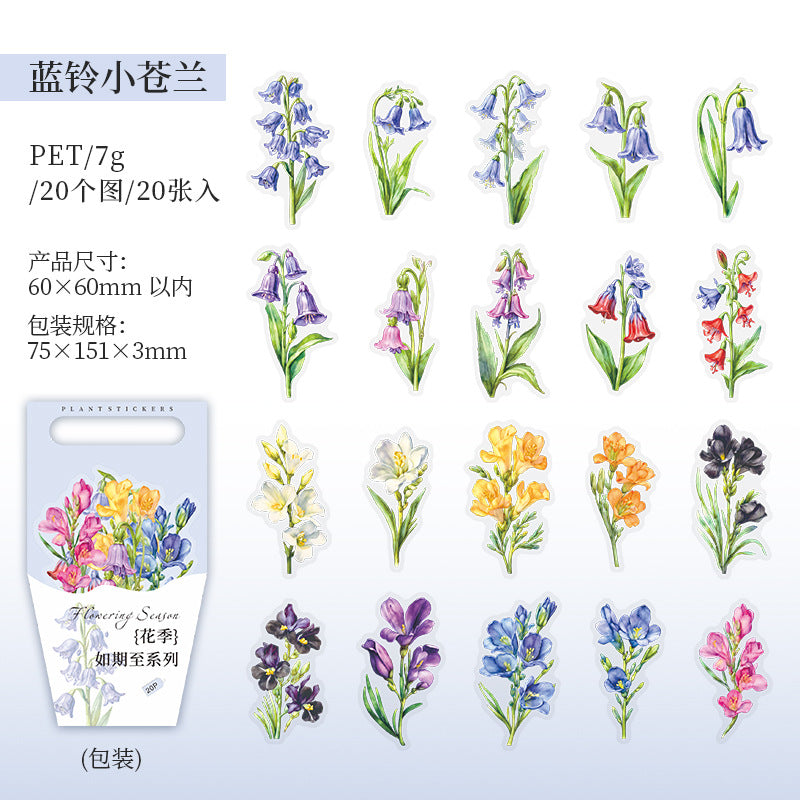 20 Pcs PET Flower Stickers HJRQZ