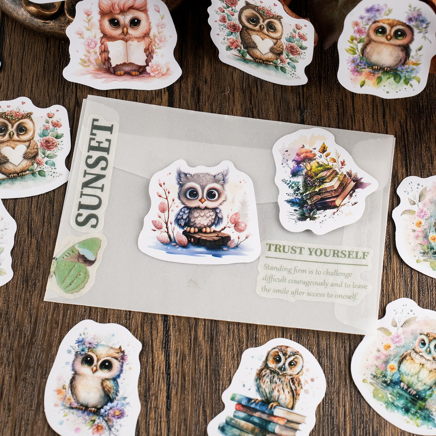 46 Pcs Owl Stickers MTYMFS