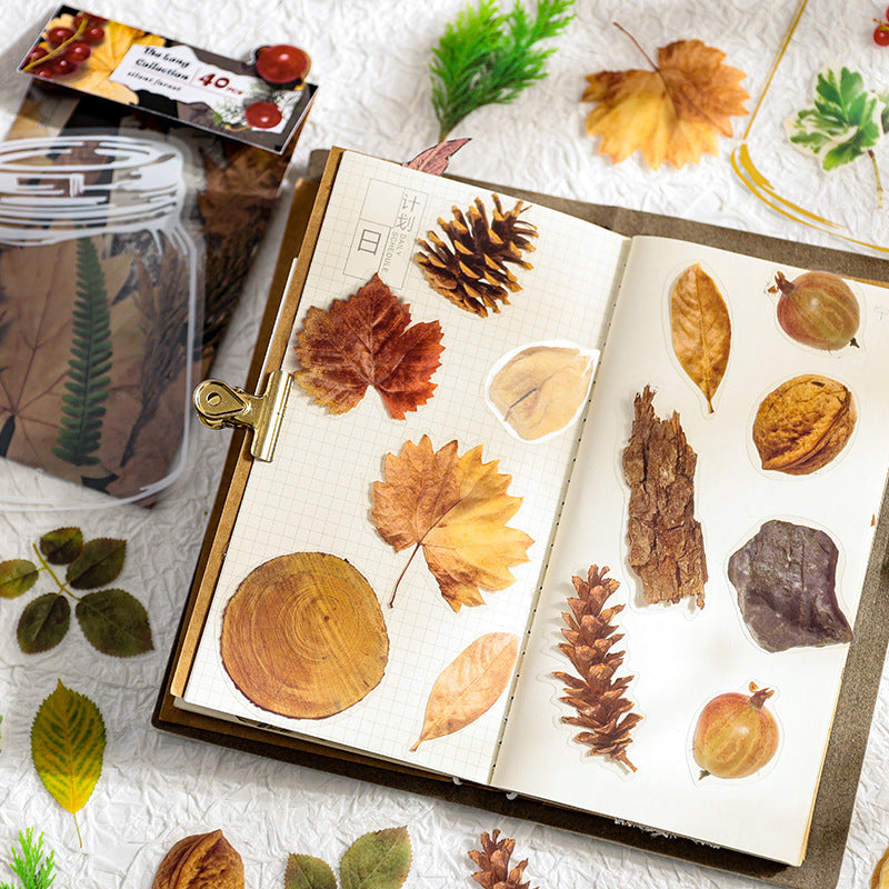 42 Pcs Butterfly Flower Under Sea Stickers MCSC