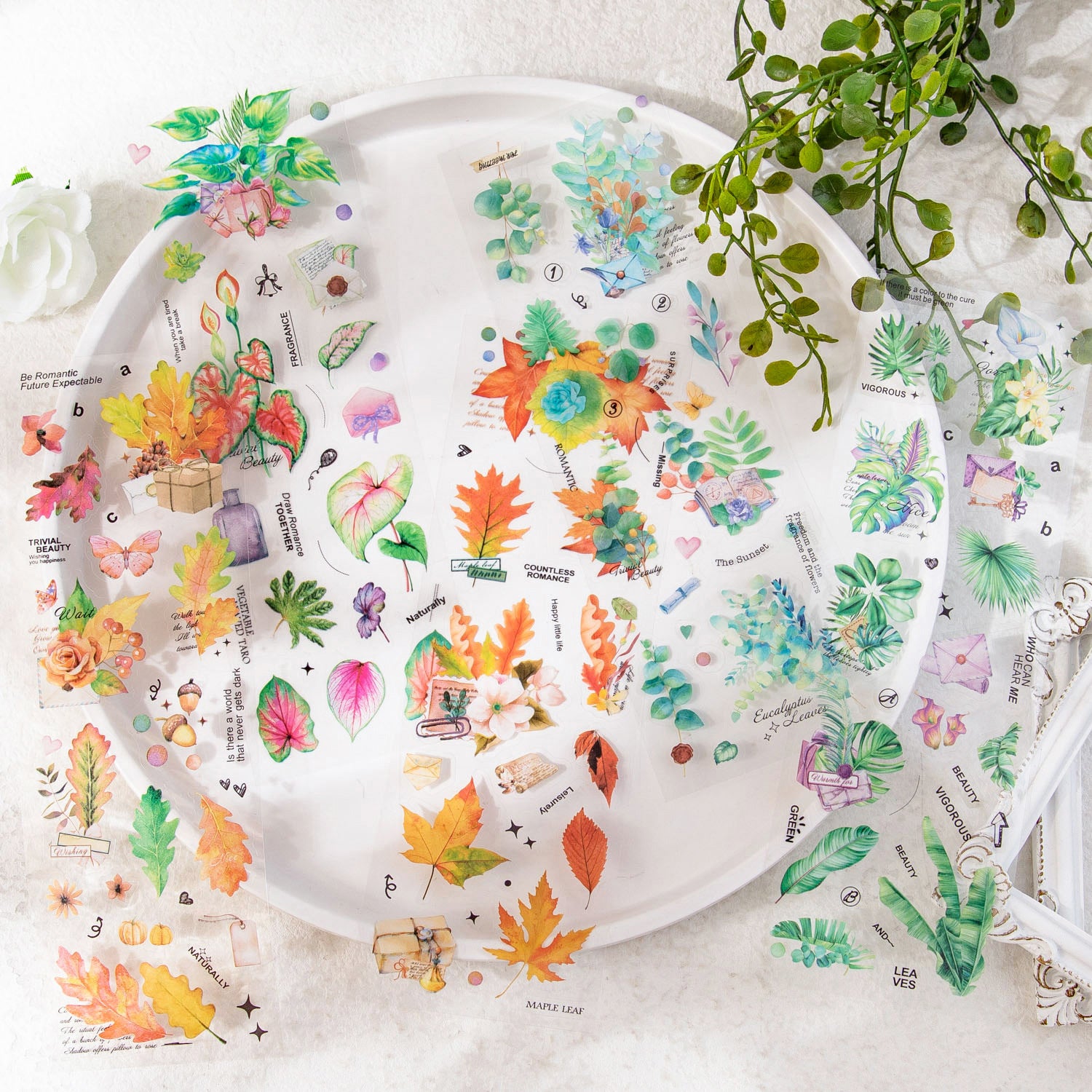 6 Pcs Plant PET Stickers XSLXL