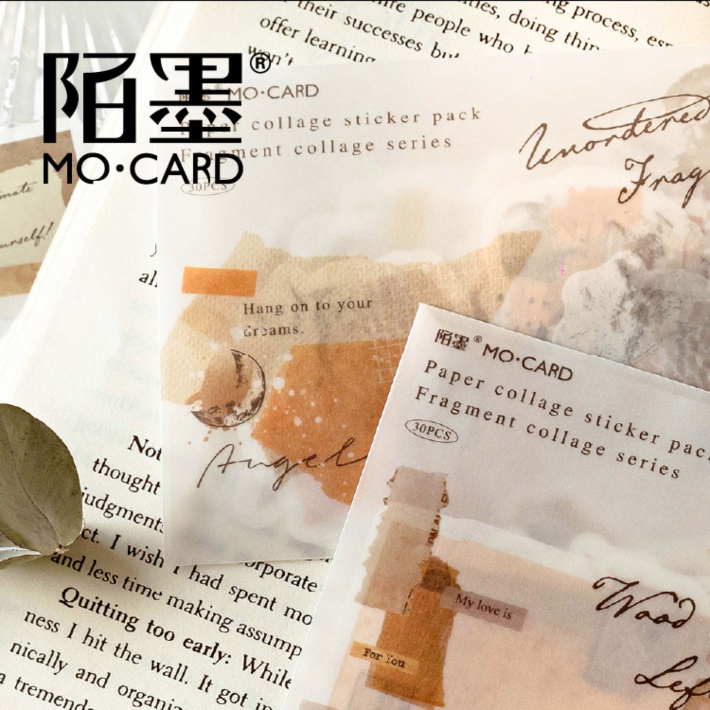 30 Pcs Vintage Collage Washi Stickers SPPT