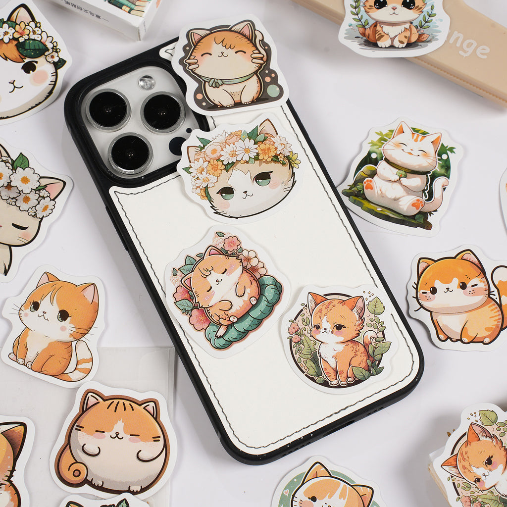 30 Pcs Ginger Cat Boxed Stickers YQJM