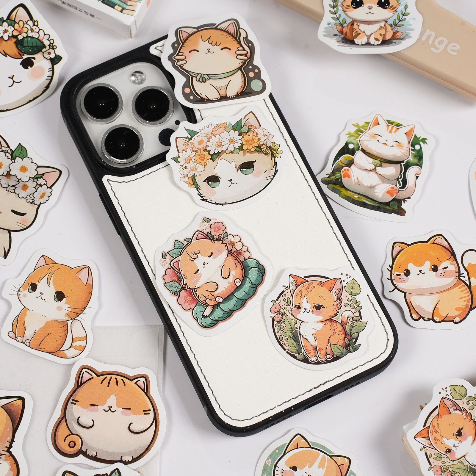 30 Pcs Ginger Cat Boxed Stickers YQJM