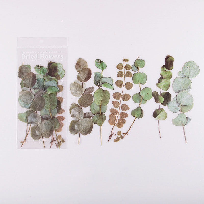 6 Pcs Pressed Eucalyptus Large PET Stickers CFHYF