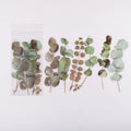 6 Pcs Pressed Eucalyptus Large PET Stickers CFHYF