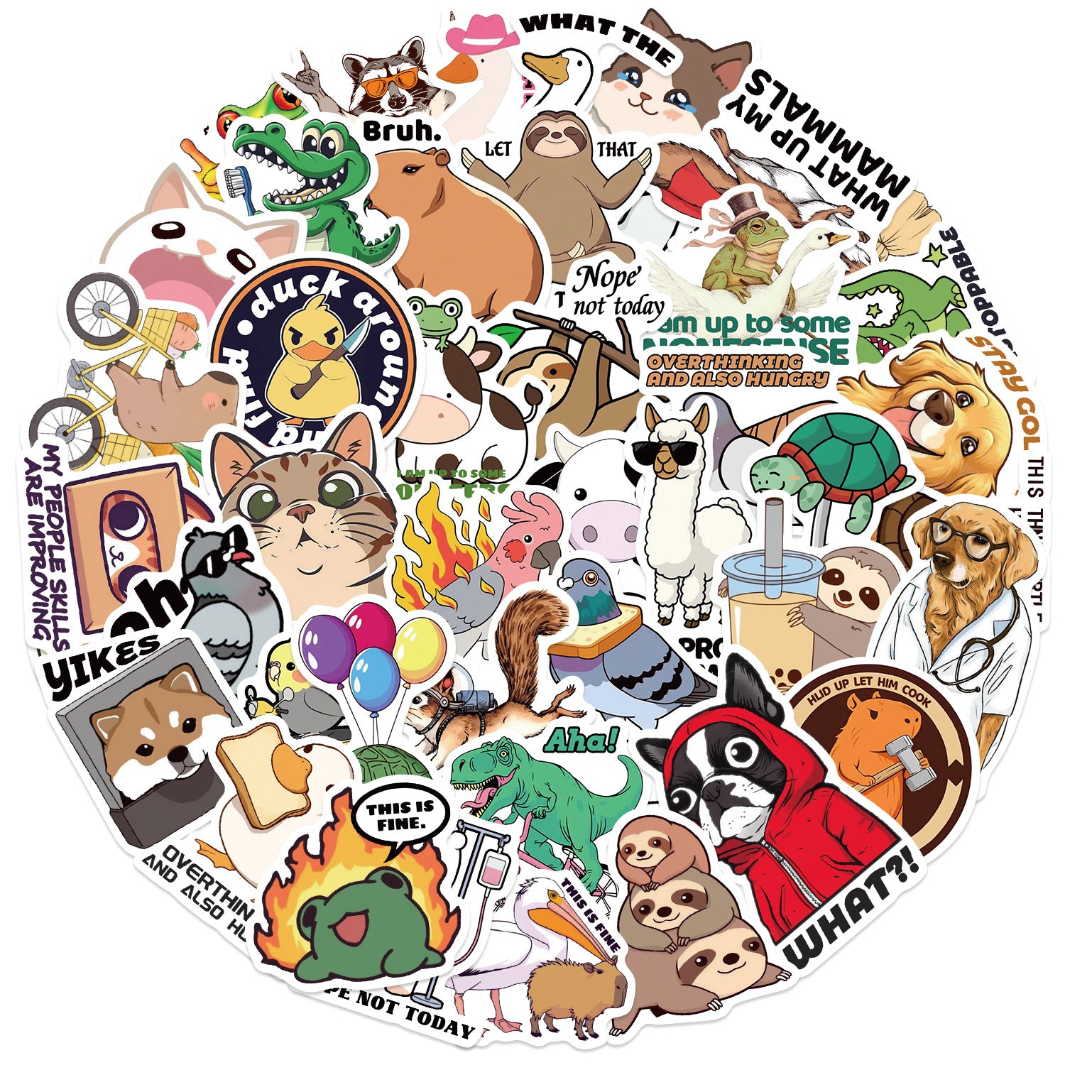 50PCS Funny Sarcastic Meme Vinyl Stickers FUN17