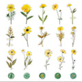 40 Pcs Vintage Pressed Flower Wax Seal Stickers- Yellow