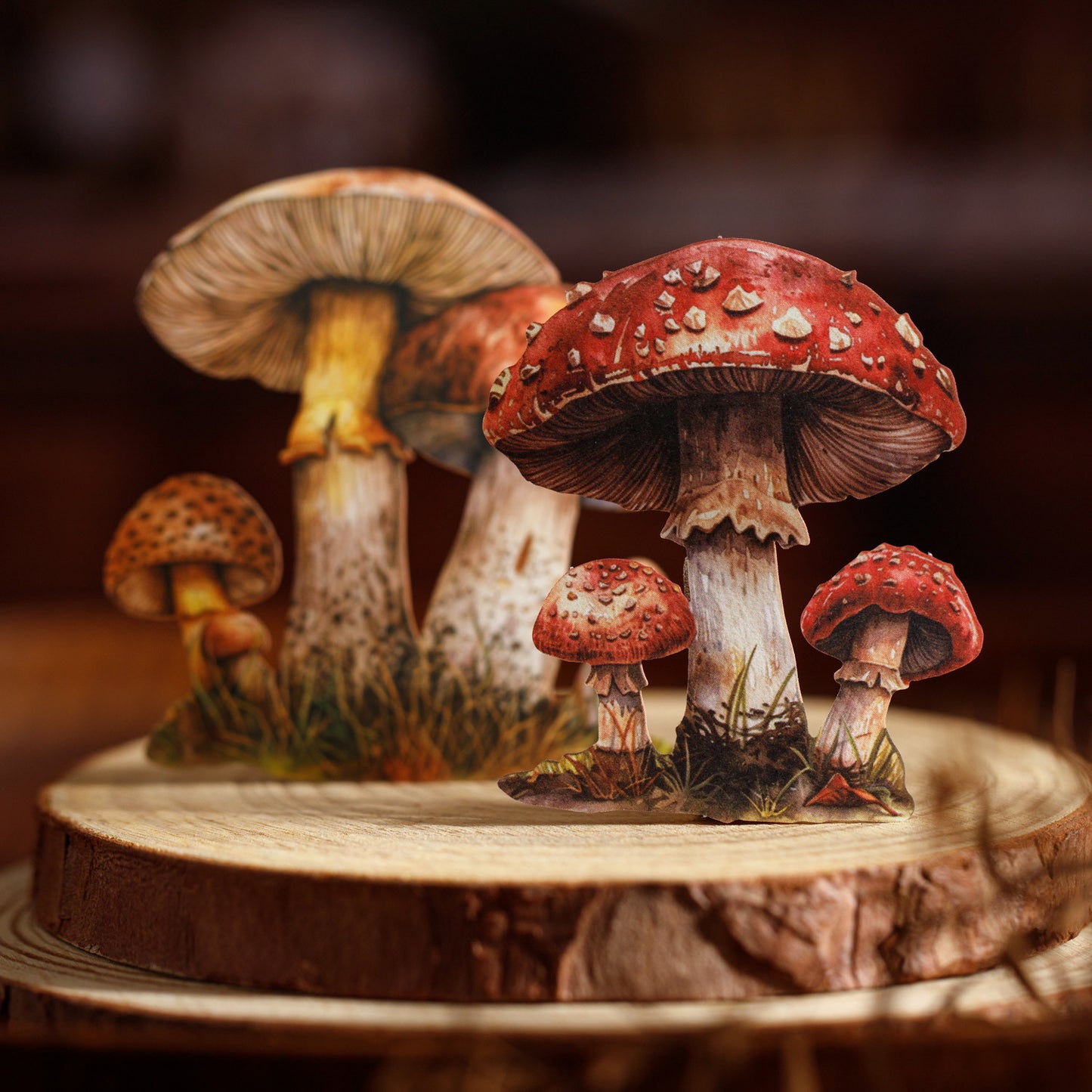 25 Pcs Mushroom Themed Stickers MGBBJ