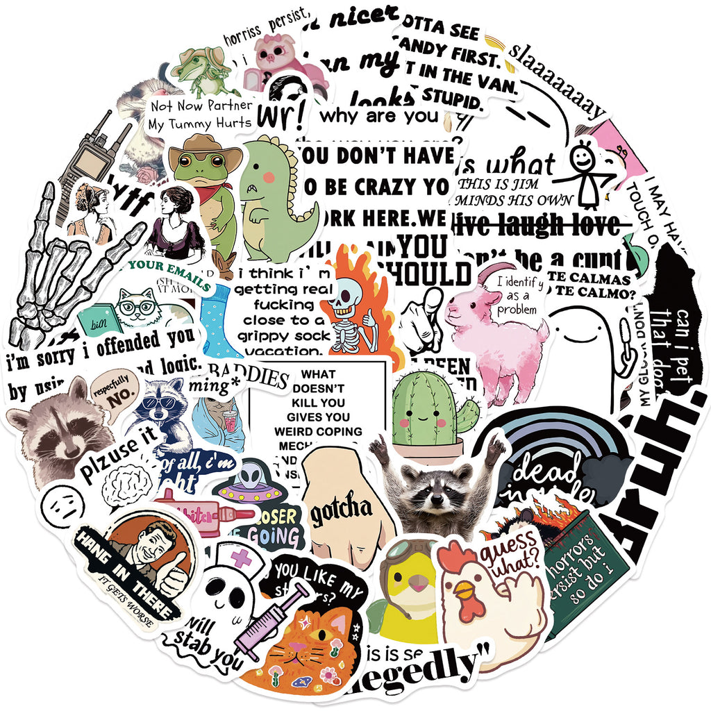50PCS Funny Sarcastic Meme Vinyl Stickers FUN11