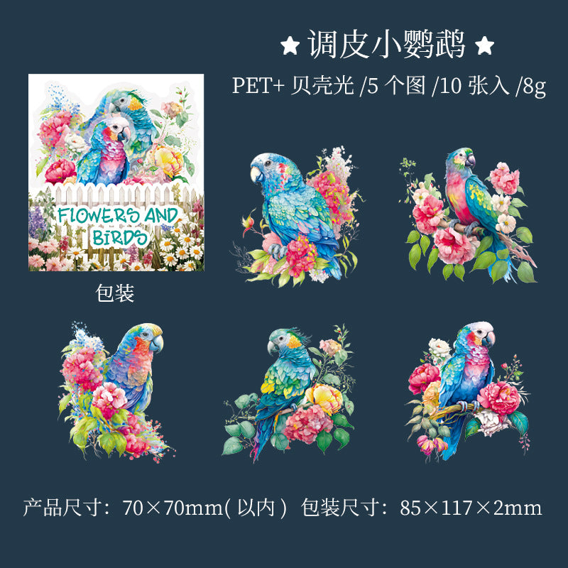 10 Pcs PET Bird Stickers HCFN