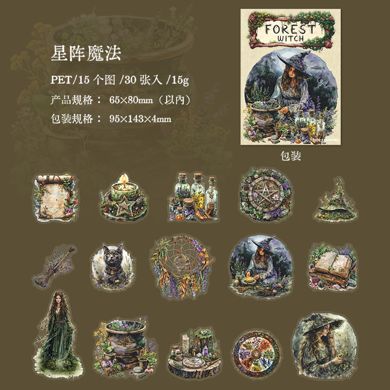30 Pcs Magic Themed PET Stickers SLNW
