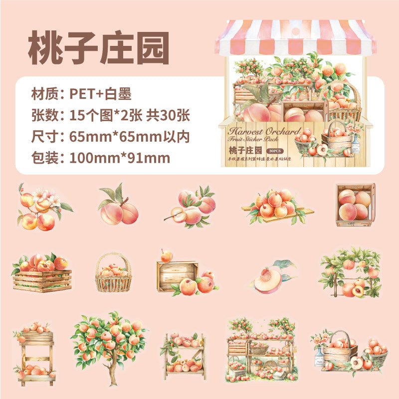 30 Pcs Fruit Shop PET Stickers FSGY