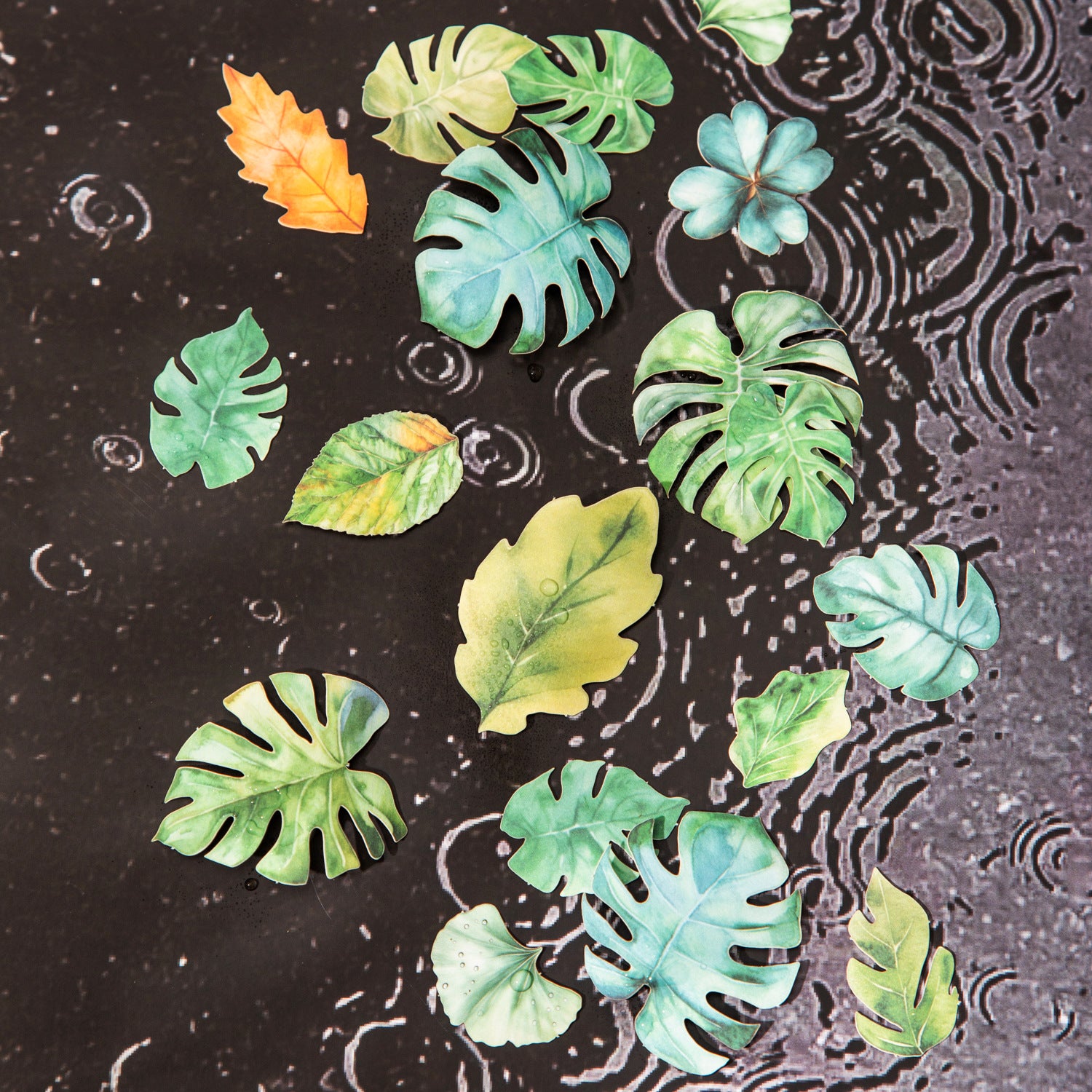 45 Pcs Leaf PET Stickers YPSY