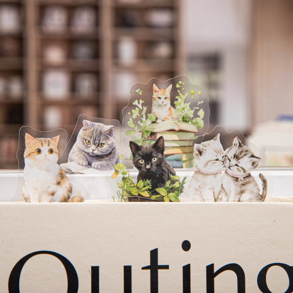 15 Pcs Reading Bookshop PET Stickers SDLDM