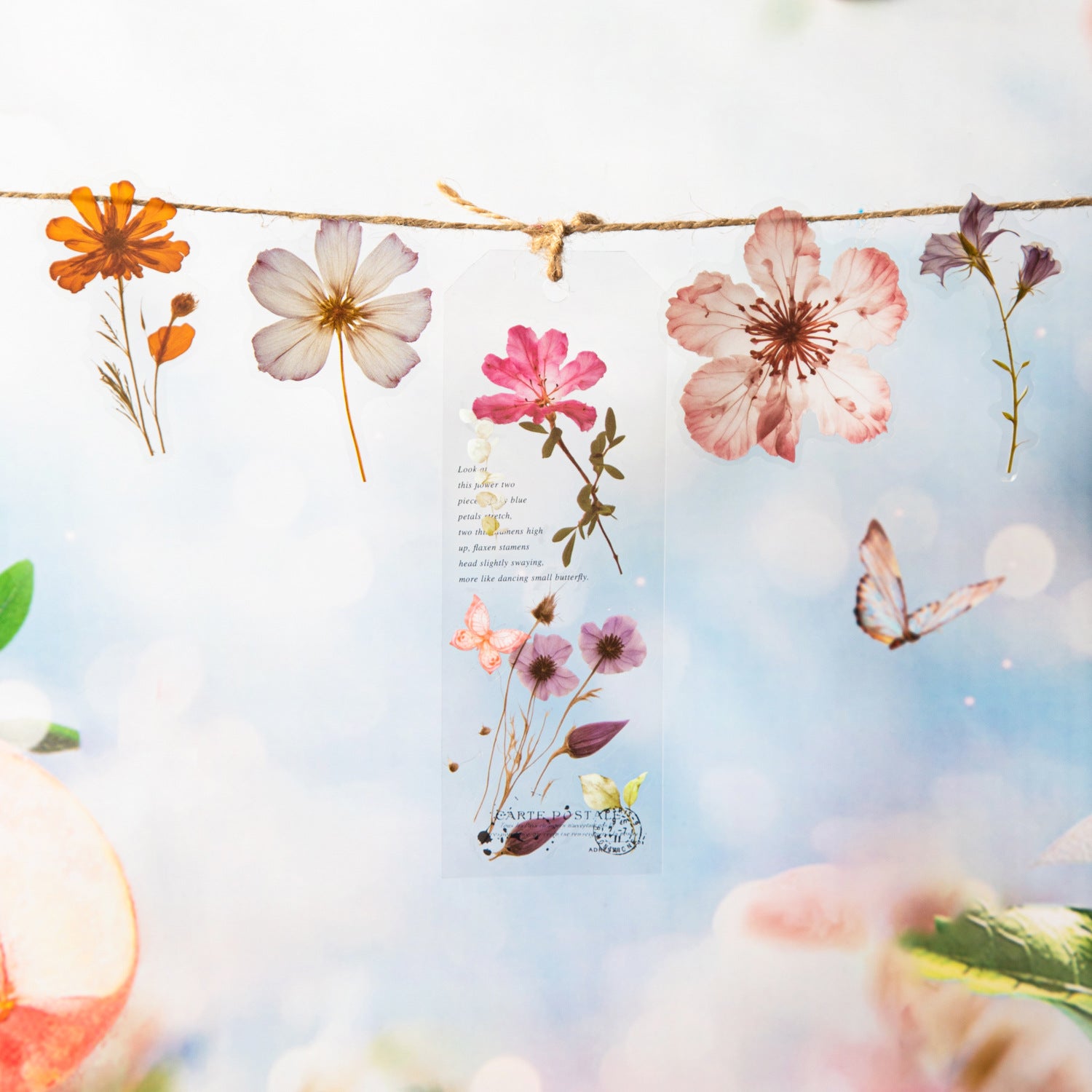 50 Pcs Pressed Flower PET Stickers LJDY