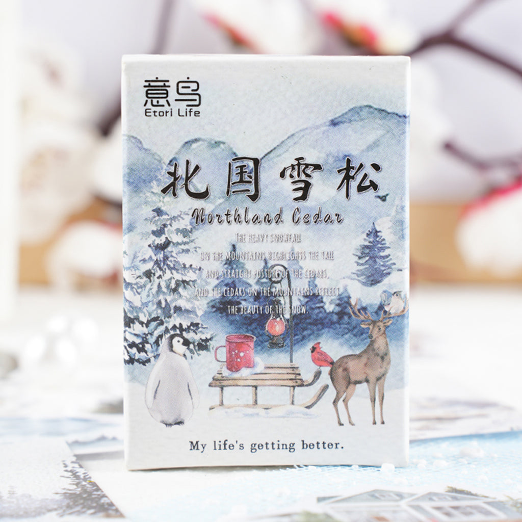 30 Pcs Snow Theme Stickers BGXS