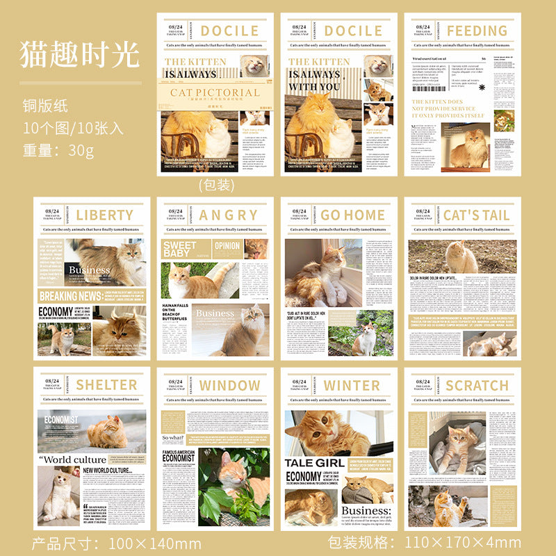 Hakan Cat Stickers Book