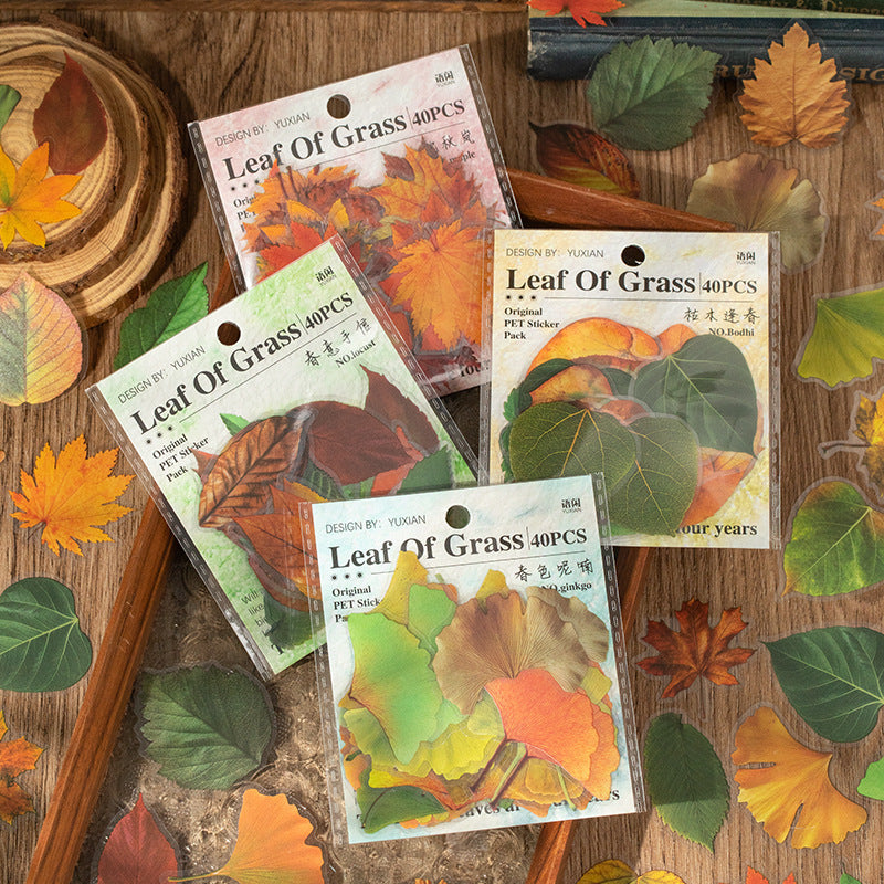 40 Pcs Pressed Leaf Stickers QDZY