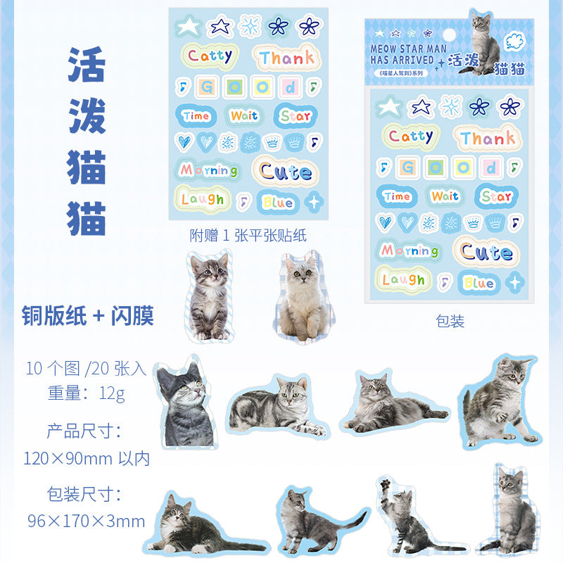 20 Pcs Cute Cat Stickes MXRJD