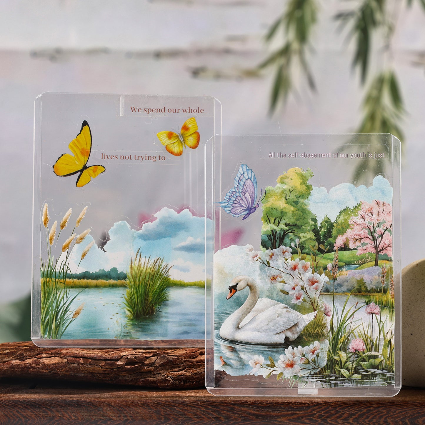 20 Pcs Pond Pool PET Stickers LYHY