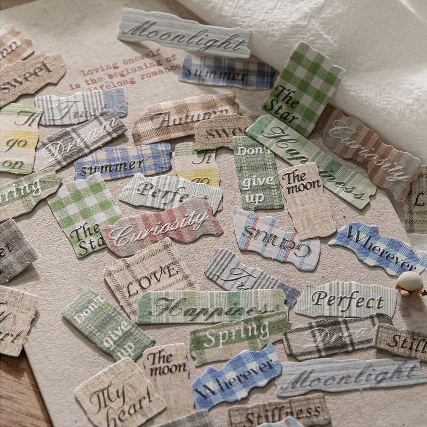 40 Pcs Vintage Emobossed Words Stickers ZJLS