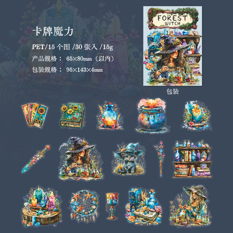 30 Pcs Magic Themed PET Stickers SLNW