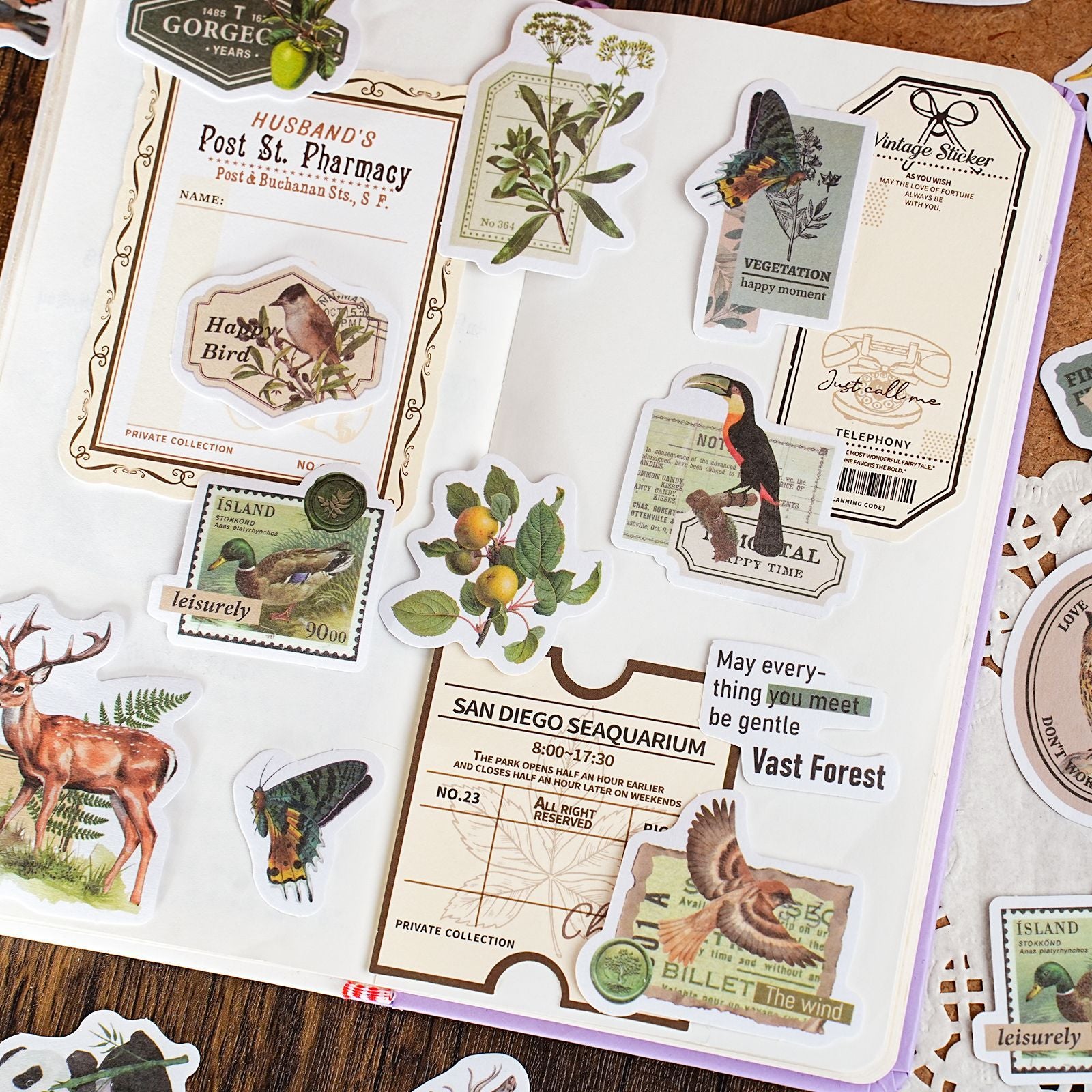 30 Pcs Vintage Journal Stickers SJLY