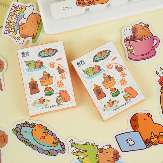 30 Pcs Capybara Boxed Stickers YTST