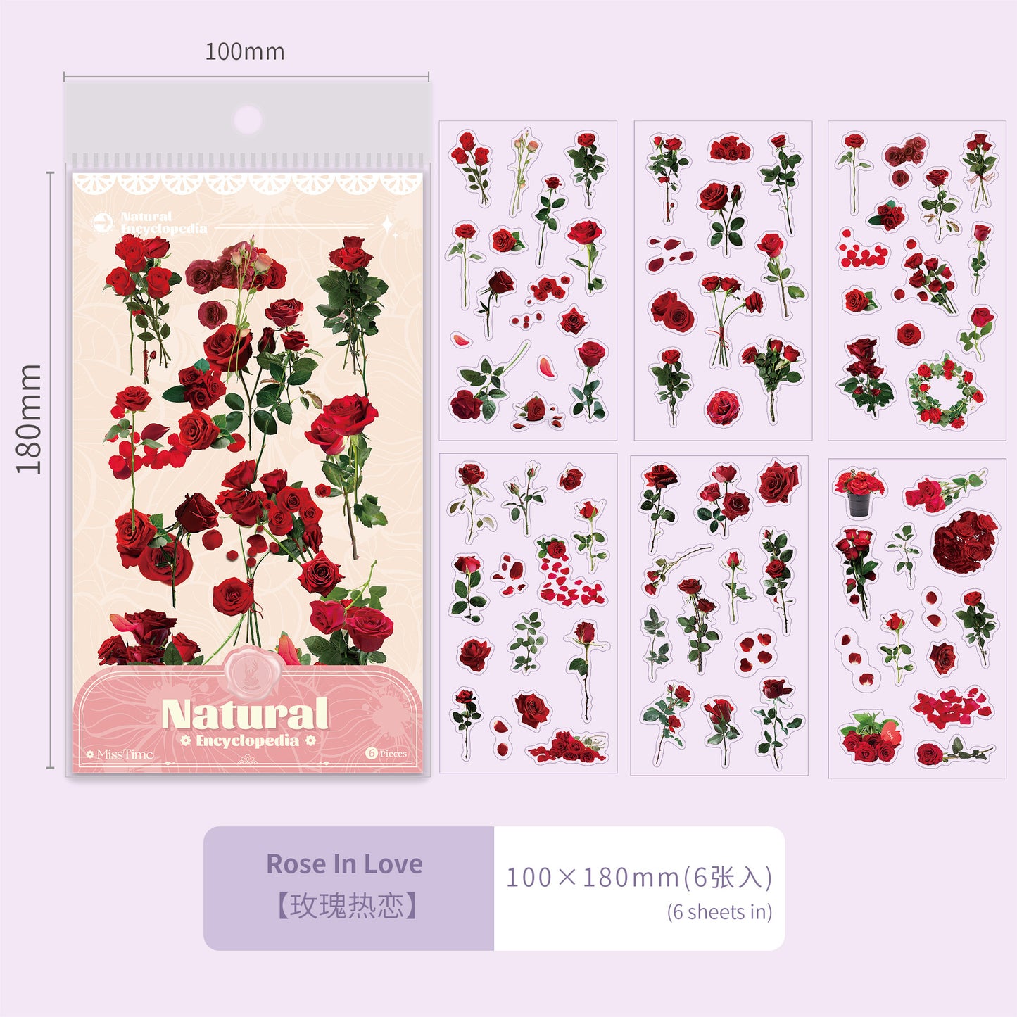 6 Shhets PET Flower Botanical Stickers ZRTJ