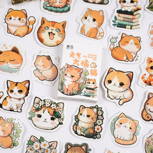 30 Pcs Ginger Cat Boxed Stickers YQJM