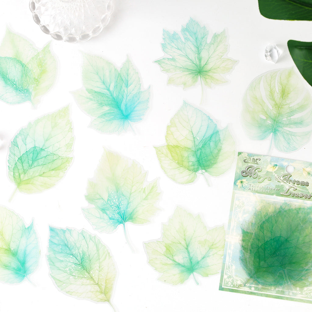 20 Pcs Watercolor Flower PET Stickers RQHS