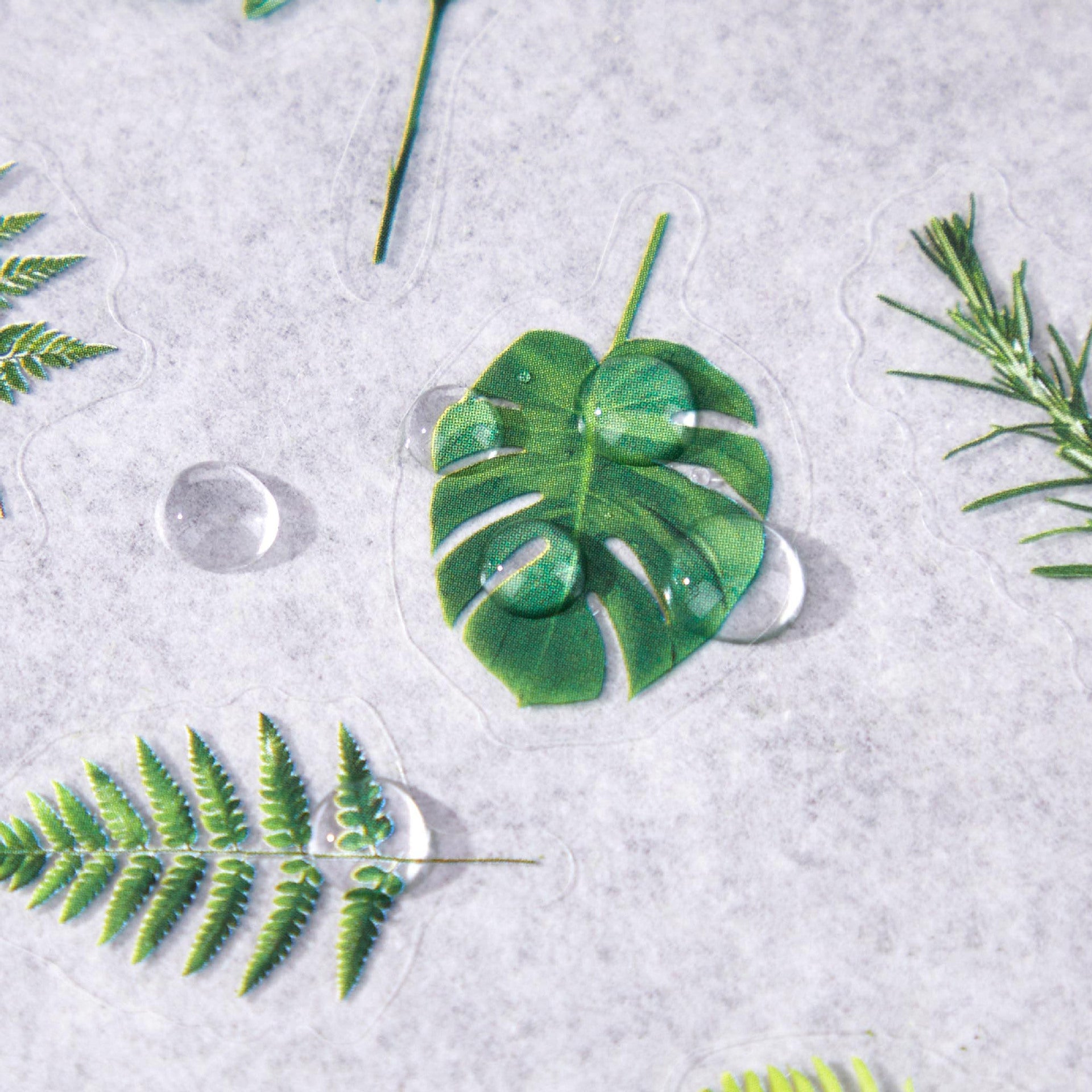6 Shhets PET Flower Botanical Stickers ZRTJ