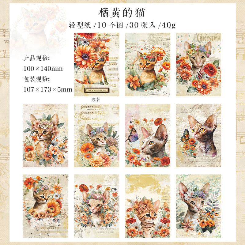 Garmo Cat Scrapbook Paper