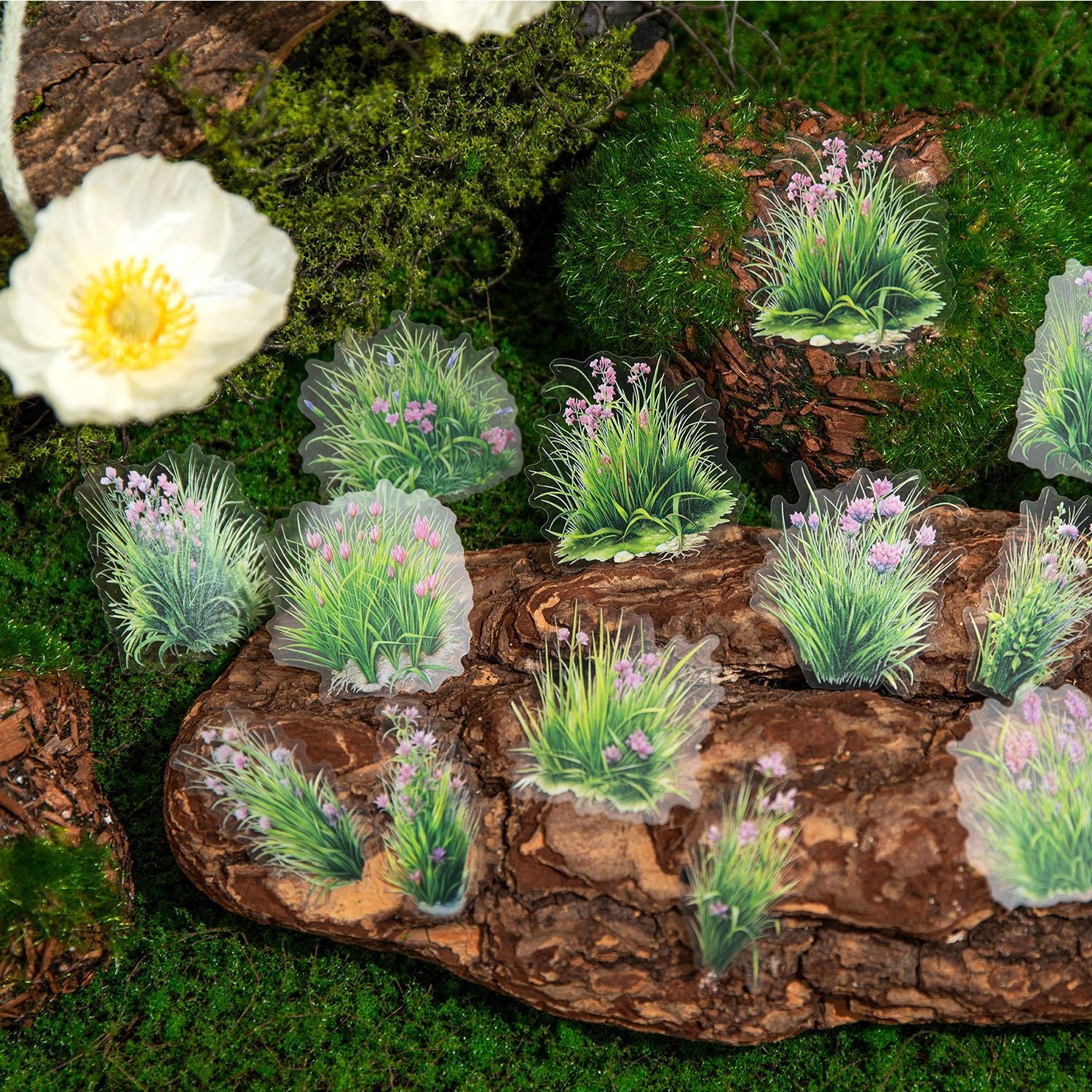 30 Pcs Wild Grass PET Stickers ZRSZ
