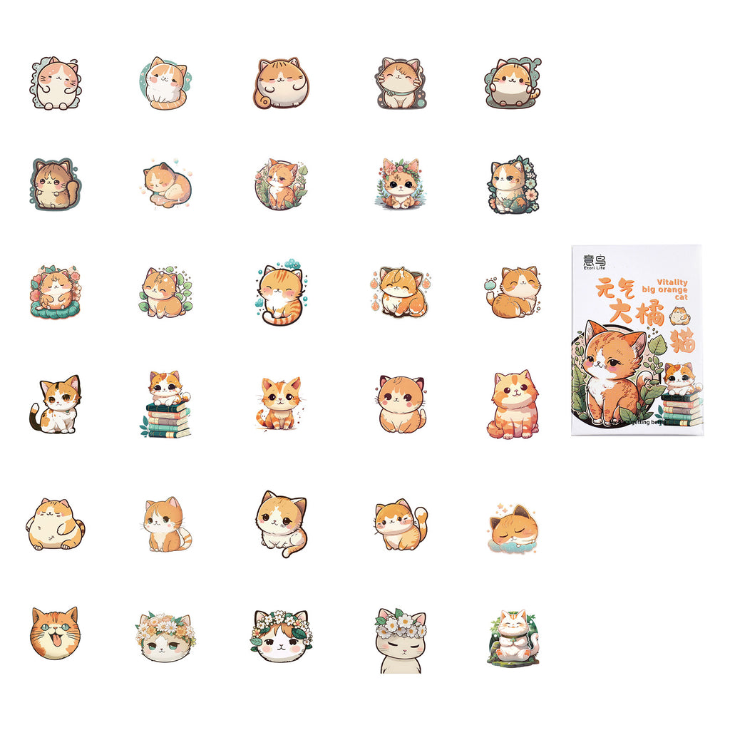 30 Pcs Ginger Cat Boxed Stickers YQJM