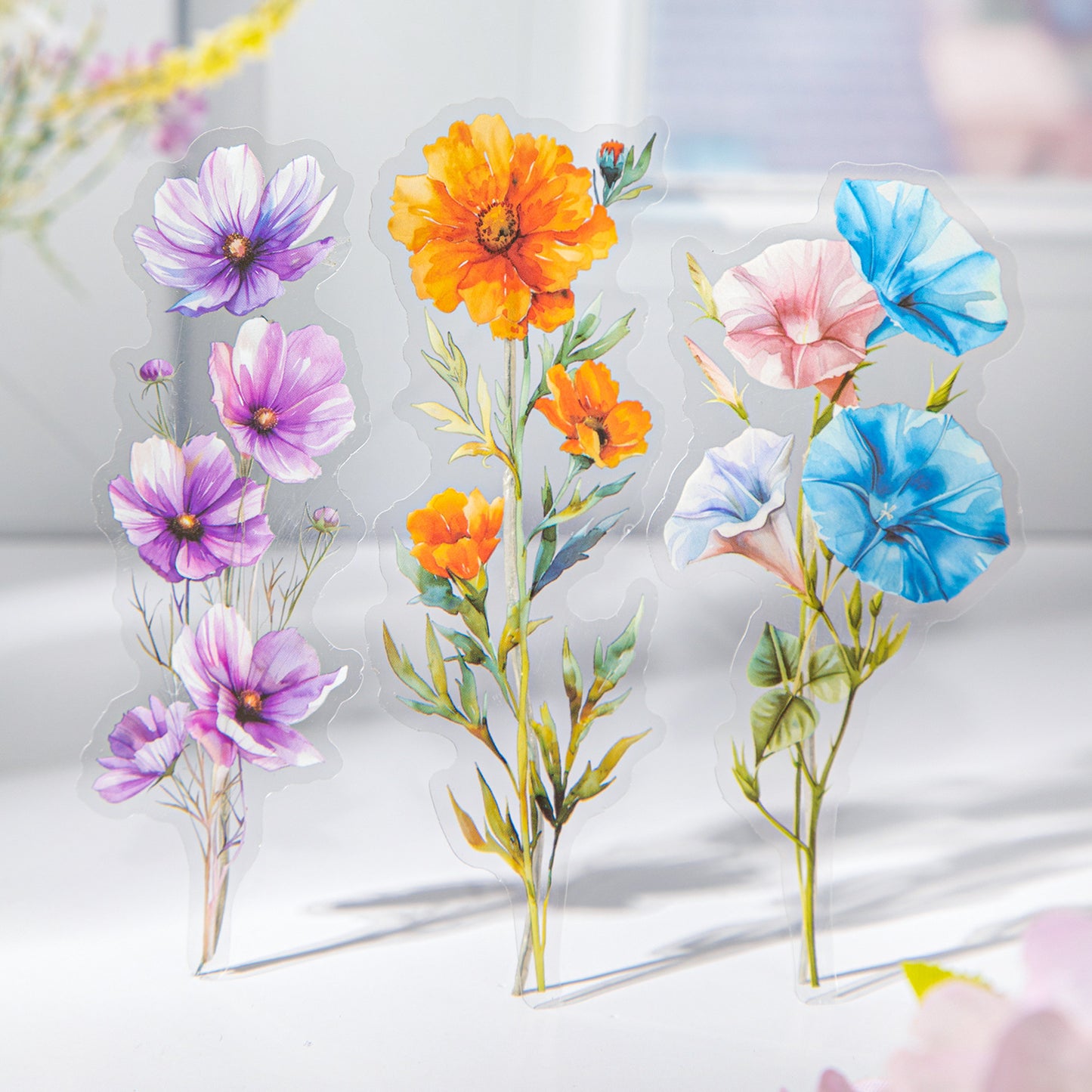 10 Pcs Large Size PET Flower Stickers HMXZ