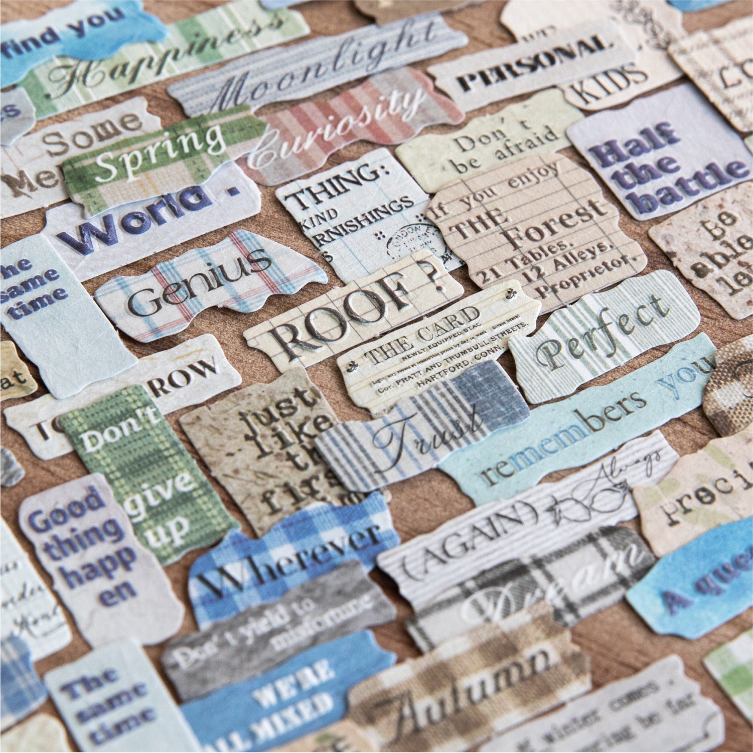 40 Pcs Vintage Emobossed Words Stickers ZJLS