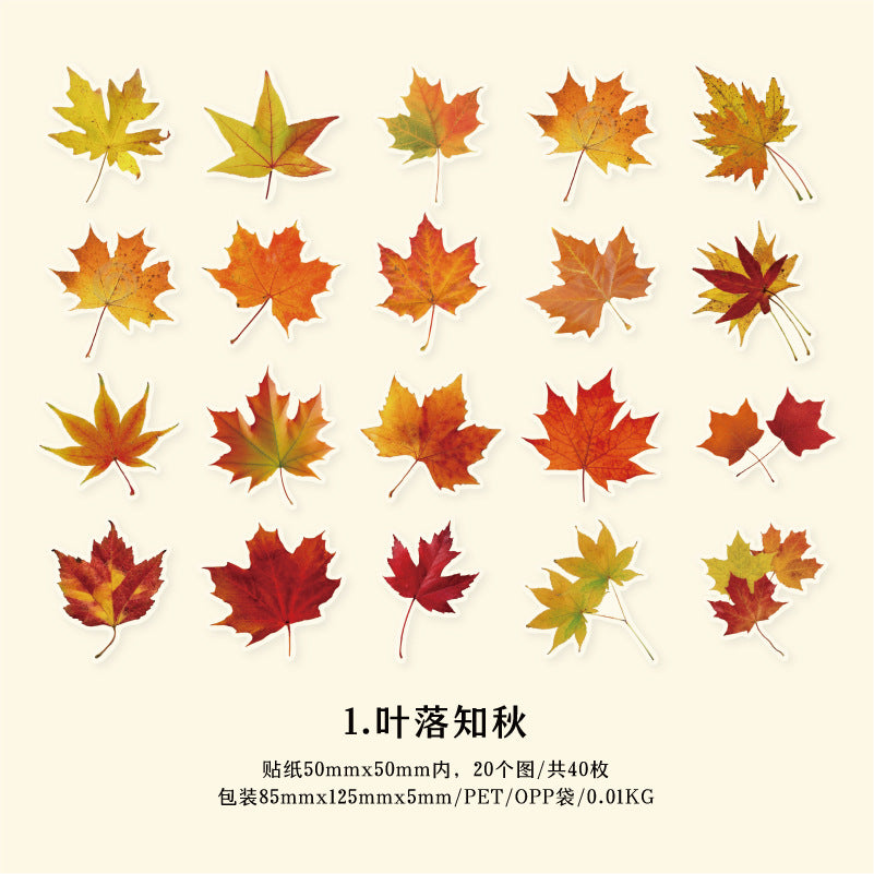 40 Pcs PET Leaf Stickers YZMY