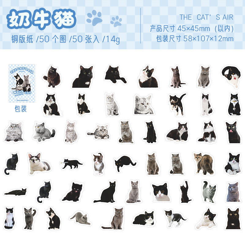Xikomo Cat Stickers
