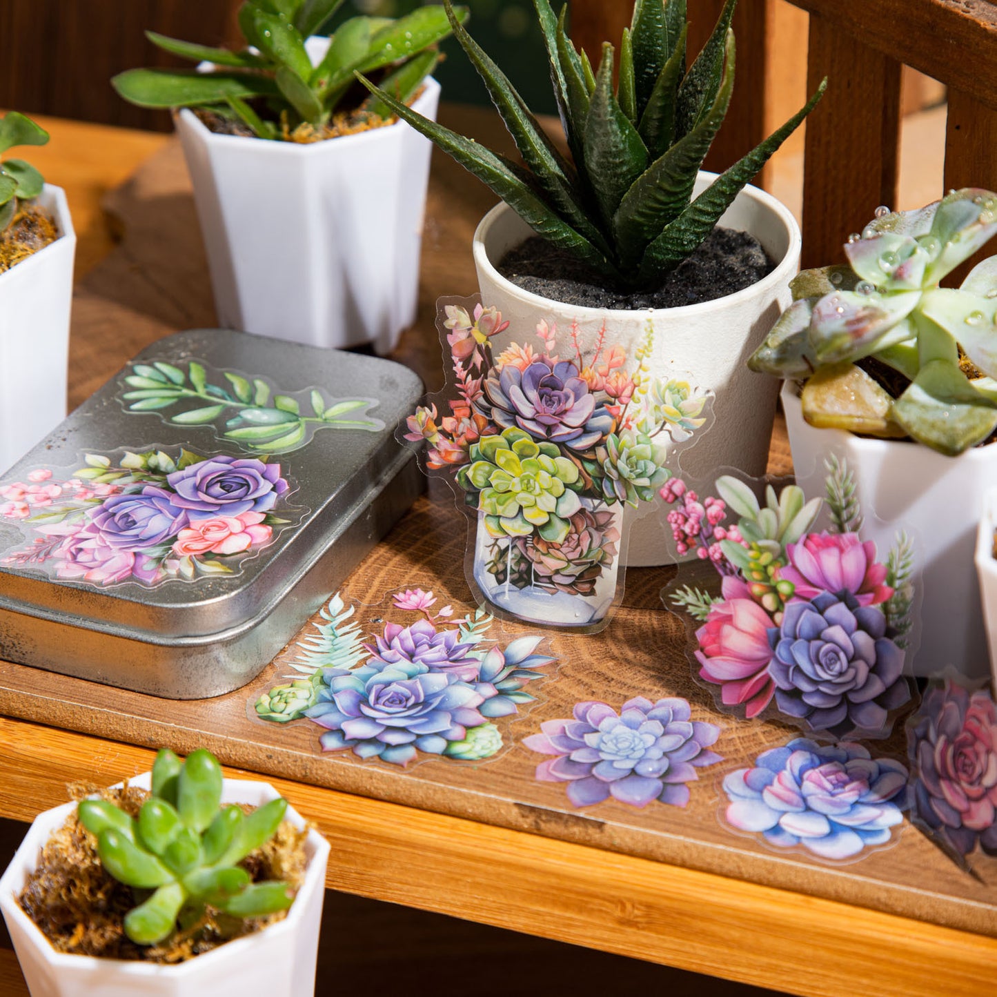 20 Pcs Succulent PET Stickers DRXJ