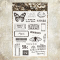Clear Silicone Stamp STM531