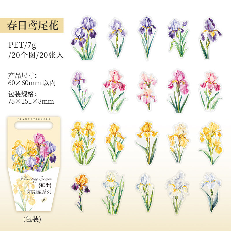 20 Pcs PET Flower Stickers HJRQZ