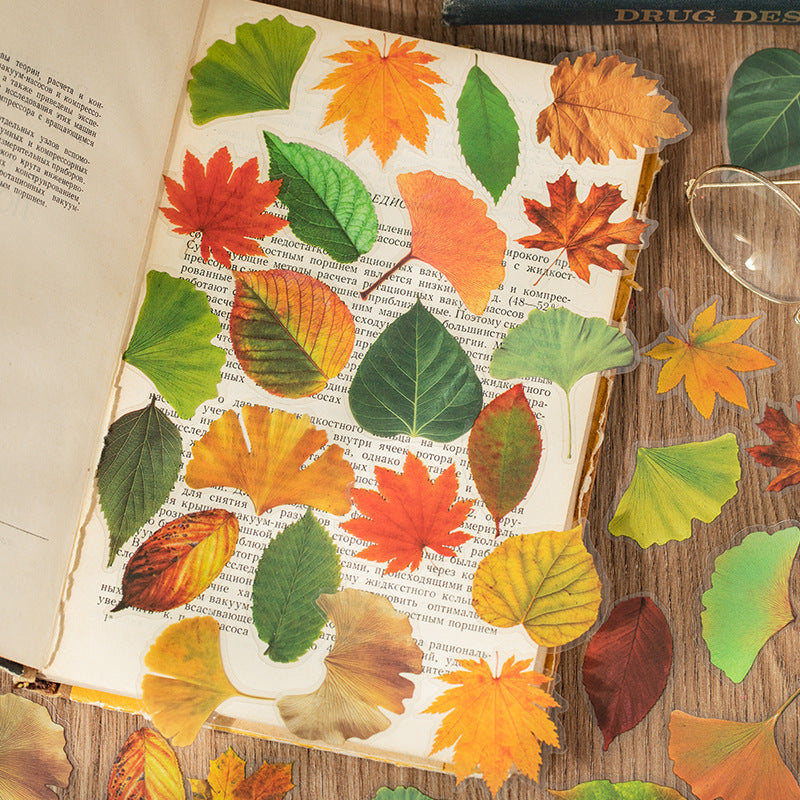 40 Pcs Pressed Leaf Stickers QDZY