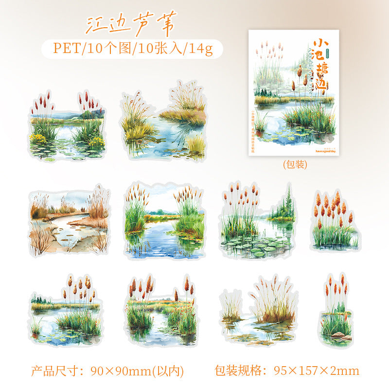 10 Pcs Pond Theme PET Stickers XCTB