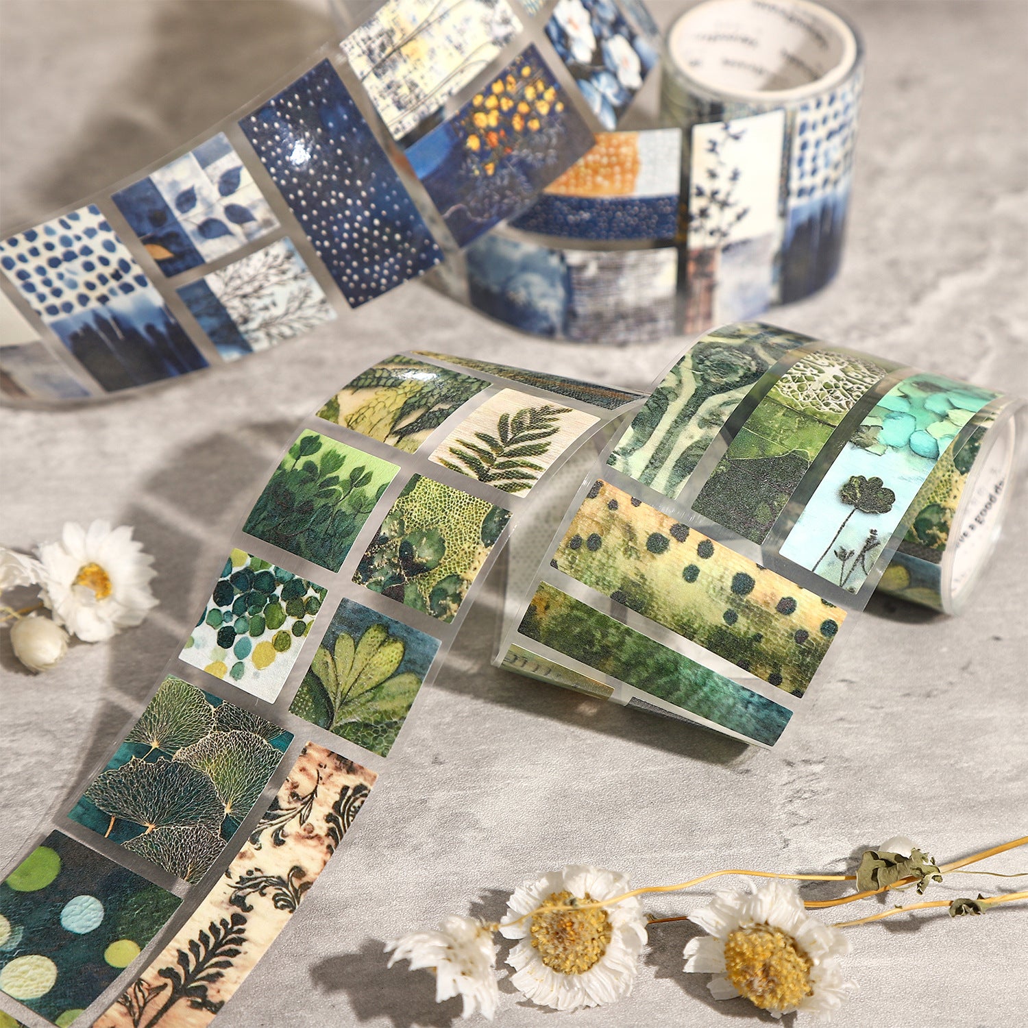 1 Roll Vintage Watercolor Botanical PET Stickers Tape HYMJ