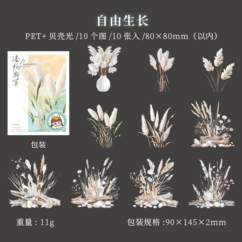 10 Pcs Pampas Grass PET Stickers PPSC