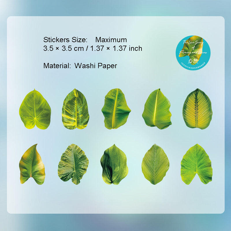 50 Pcs Petal Leaf Washi Stickers XXDLY
