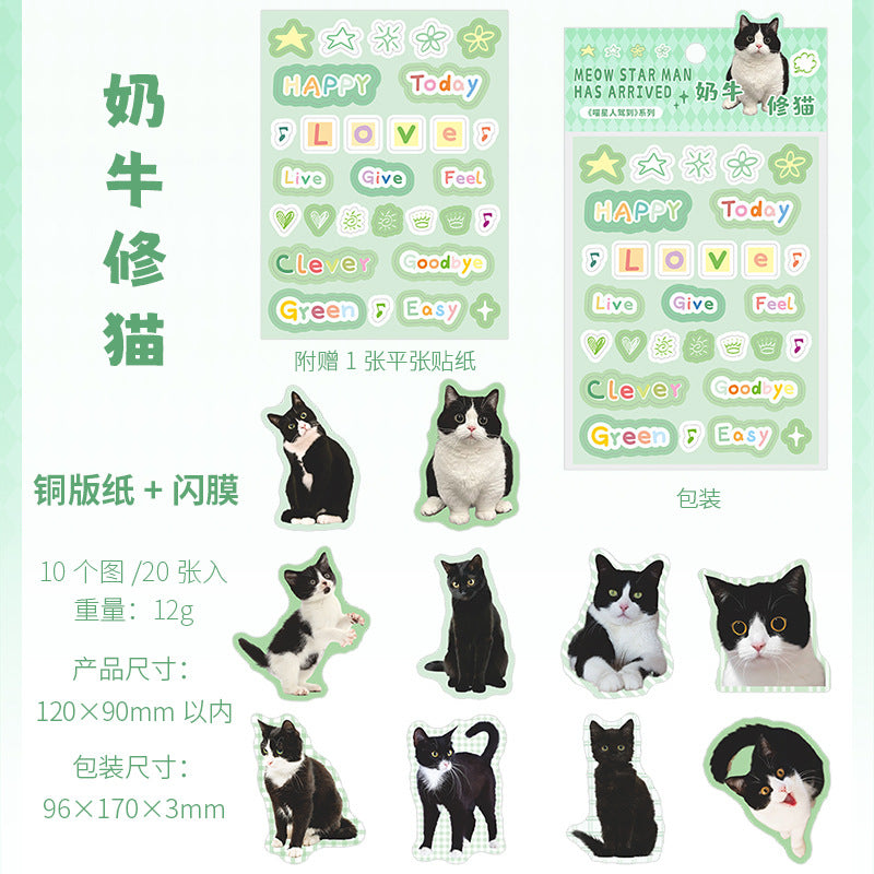 20 Pcs Cute Cat Stickes MXRJD