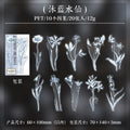 20 Pcs Plant PET Stickers HJCT